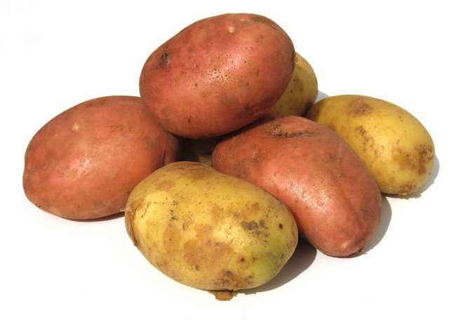 хвороби картоплі