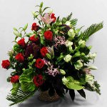 Флористика для початківців