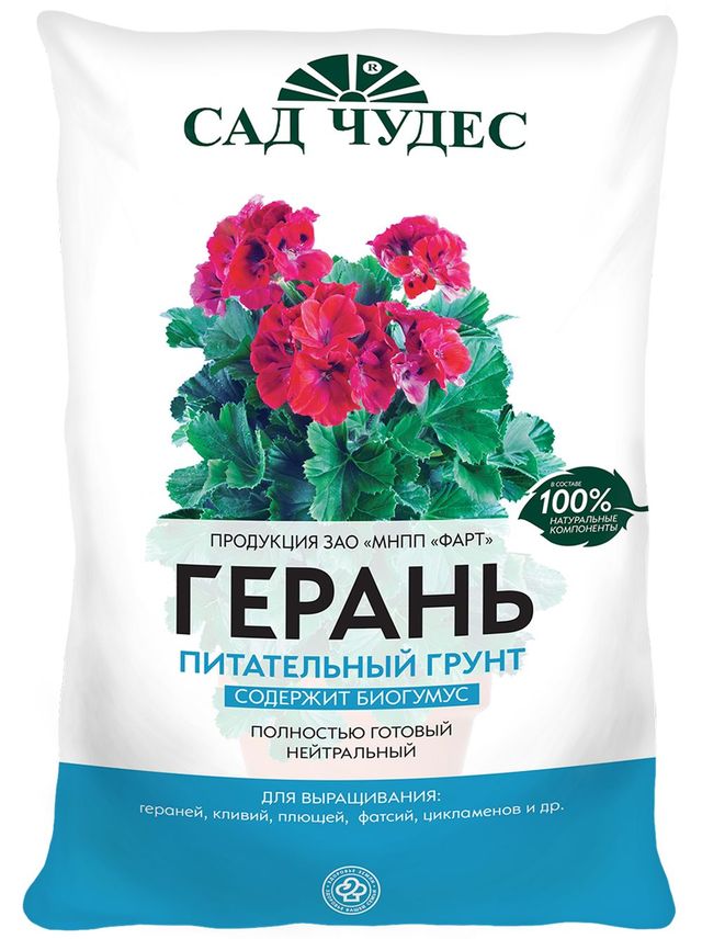 Догляд за геранню