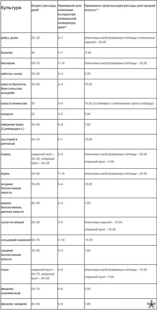 Коли висаджувати розсаду у відкритий грунт?