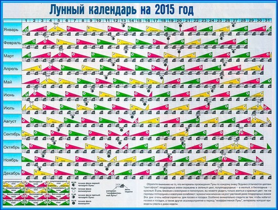 Місячний календар садівника-городника на серпень 2015
