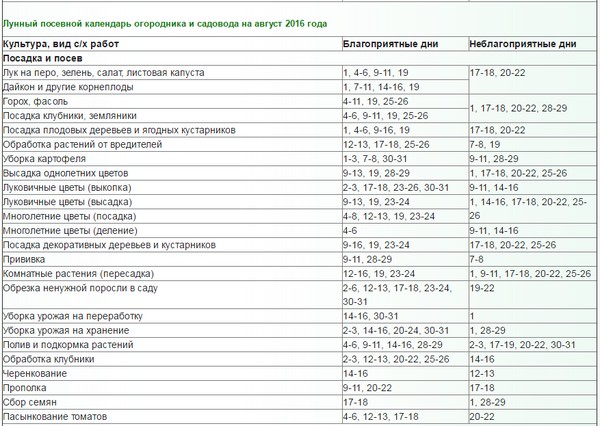 Місячний календар городника на серпень 2016 року для Підмосков'я, середньої смуги Росії, Уралу, Сибіру, ​​Північно-Заходу, Білорусії і Україн