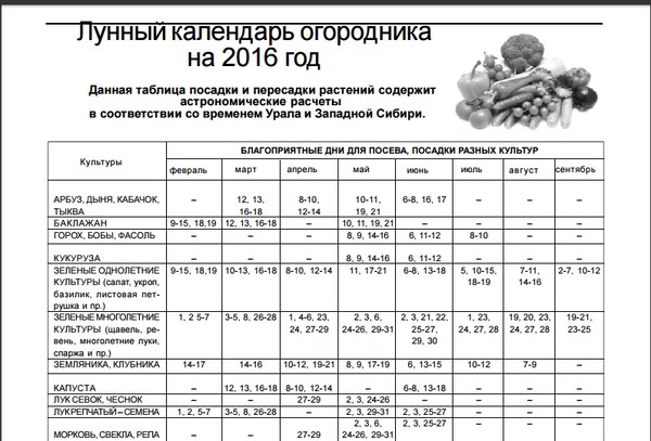 Місячний календар городника на серпень 2016 року для Підмосков'я, середньої смуги Росії, Уралу, Сибіру, Північно-Заходу, Білорусії і Україн Місячний календар городника на серпень 2016 року для Підмосков'я, середньої смуги Росії, Уралу, Сибіру, Північно-Заходу, Білорусії і Україн