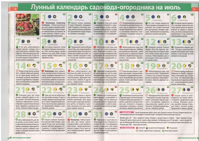 Місячний календар садівника в середній смузі 2015 рік