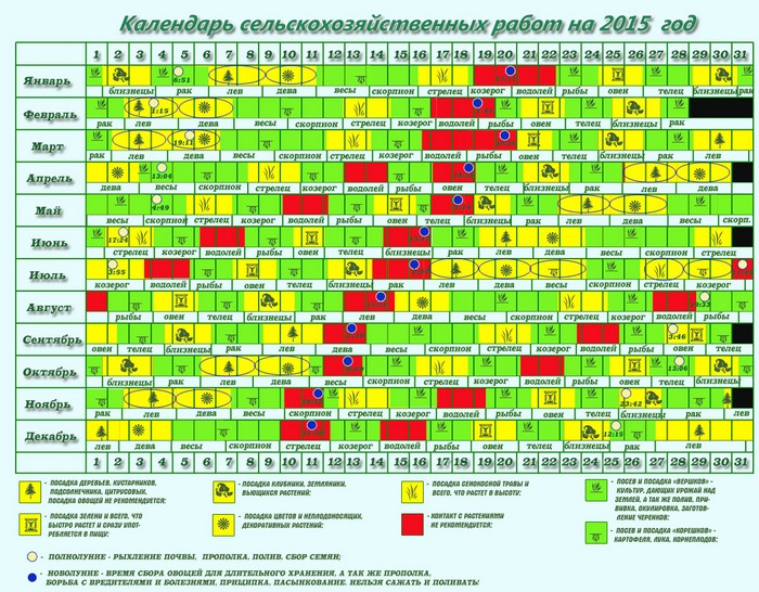 Місячний календар садівника-городника на вересень 2015