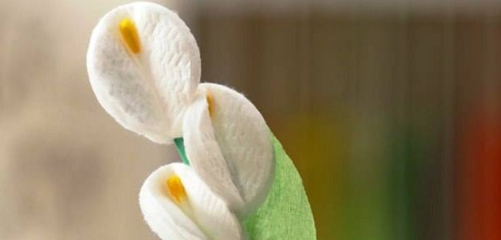 Подарунок мамі квіти з ватних дисків майстер-клас з фото Квіти з ватних дисків своїми руками
