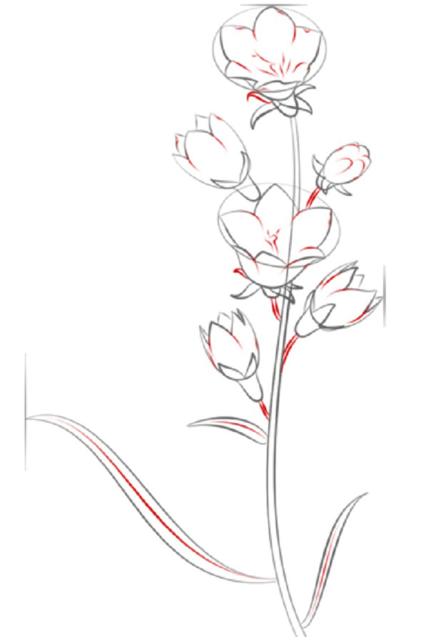 малюнок Квітка