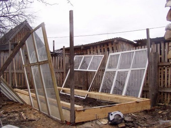 Теплиця з віконних рам своїми руками - покрокові інструкції з фото і відео