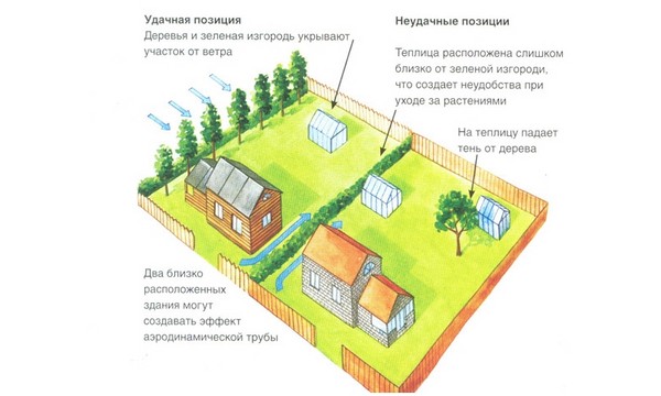 Теплиця з віконних рам своїми руками - покрокові інструкції з фото і відео