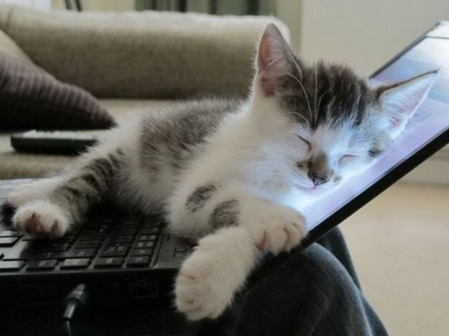 Як відключити сплячий режим в Windows 7 Як відключити сплячий режим в Windows 7