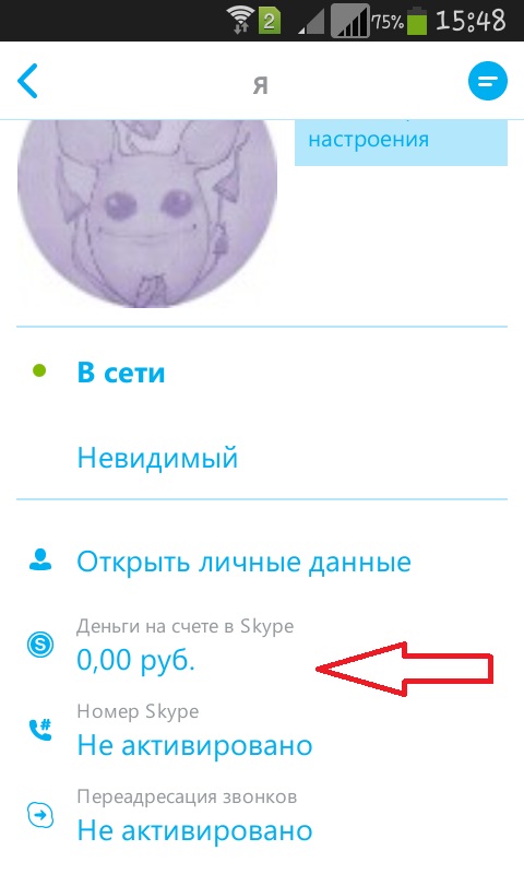 як користуватися Skype на телефоні, як встановити скайп на телефон.