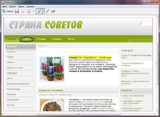 Програма «Ножиці»: робимо скріншот екрану в Windows 7