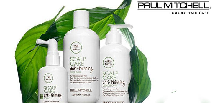 Сила волосся від коренів до кінчиків: серія Paul Mitchell Tea Tree Scalp Care