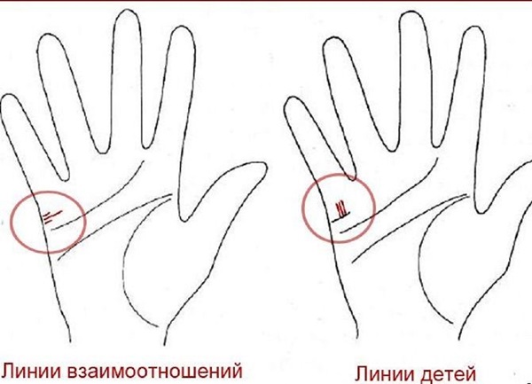 Лінія шлюбу на руці
