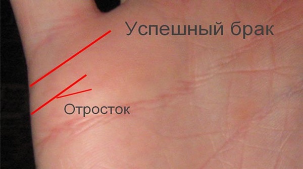 Лінія шлюбу на руці