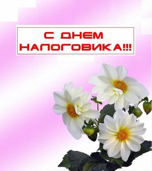 Офіційні та прикольні поздоровлення з Днем податкового працівника у віршах і прозі