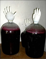 Як приготувати домашнє вино з чорноплідної горобини в домашніх умовах