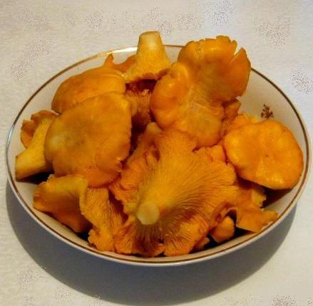 мариновані лисички