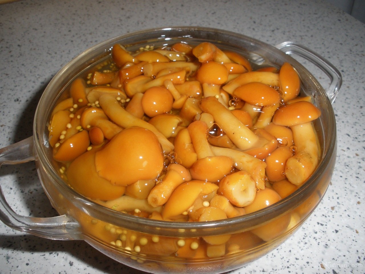 мариновані маслюки