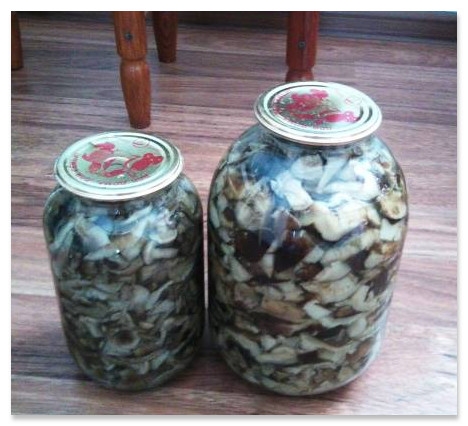 мариновані рядовками