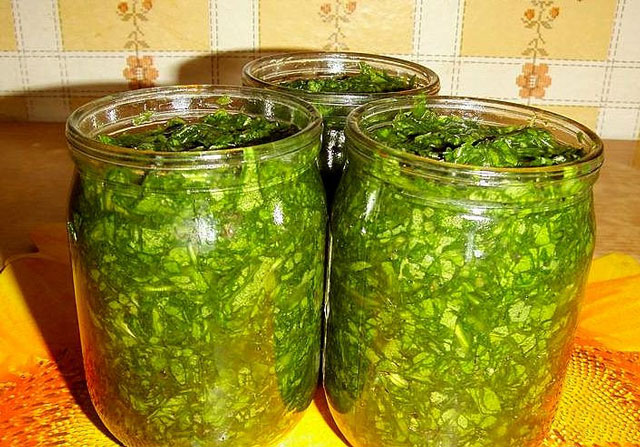 Як закатати щавель на зиму з сіллю Як закатати щавель на зиму з сіллю