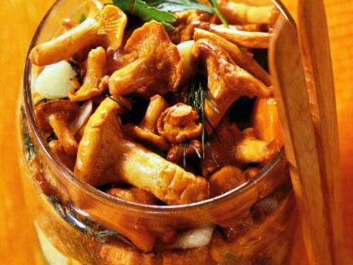 солоні лисички