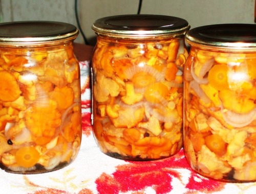 солоні лисички
