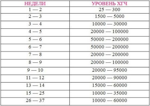 ХГЧ при вагітності