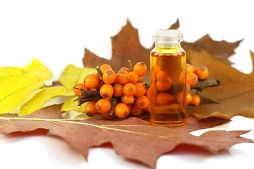Народна аптека: як зробити масло з обліпихи