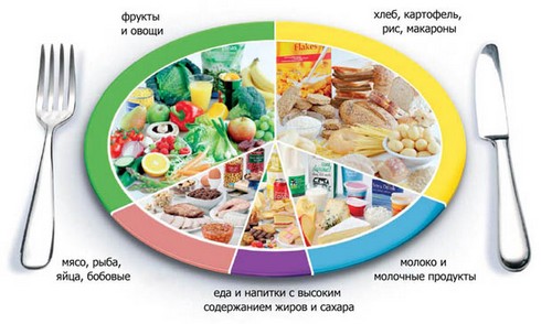 Правильне харчування для схуднення - що говорять відгуки