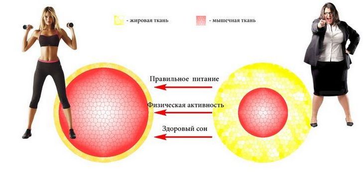 Як розпізнати і що робити при порушенні метаболізму