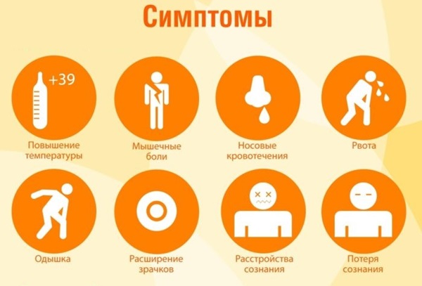 Тепловий удар: симптоми, перша допомога та лікування