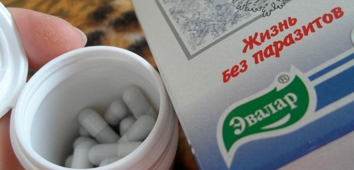 Протипаразитарний препарат Тройчатка евалар. Склад. Інструкція. Відгуки